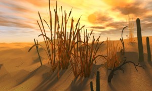 DESAFIO! Inscreva-se para a MARATONA DO DESERTO!