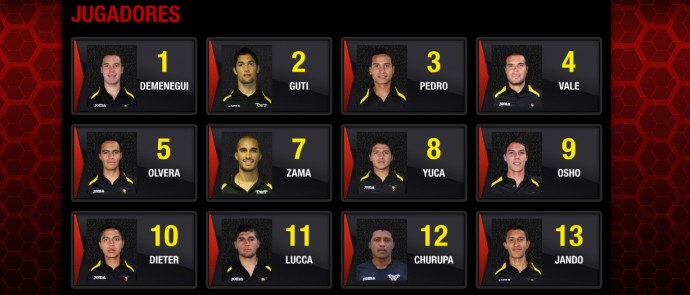 Equipe colabora2