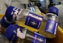 Brasil sofre para combater o doping