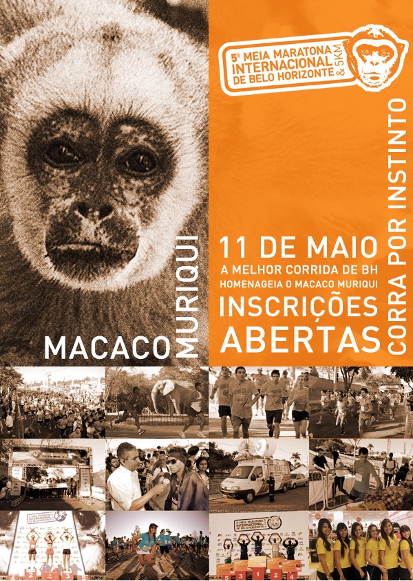 MMIBH-2014
