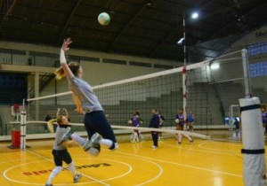 volei