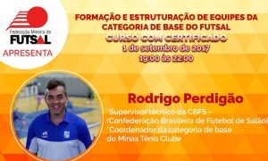Formação e Estruturação de equipes de categorias de base do Futsal