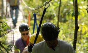Caminhadas de Verão até 2 de fevereiro na Estação Ecológica da UFMG