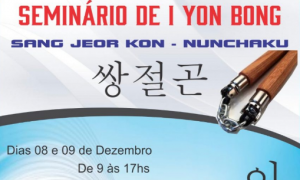 SEMINÁRIO ESTADUAL DE I YON BONG