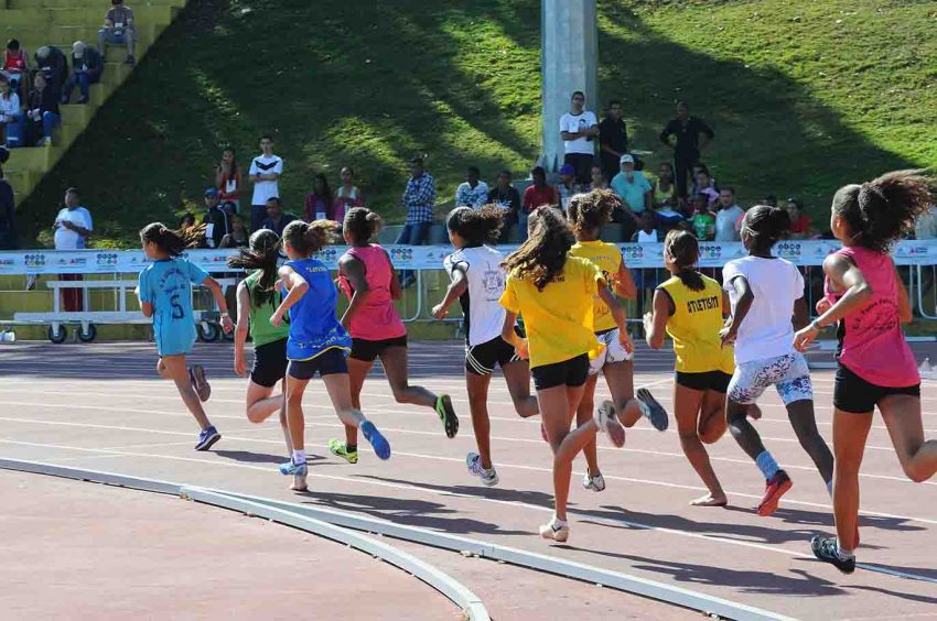 Foto: José Carlos Paiva