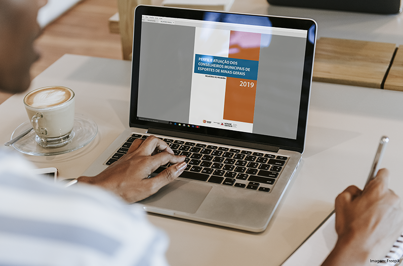 Mockup - Perfil e Atuação dos Conselheiros